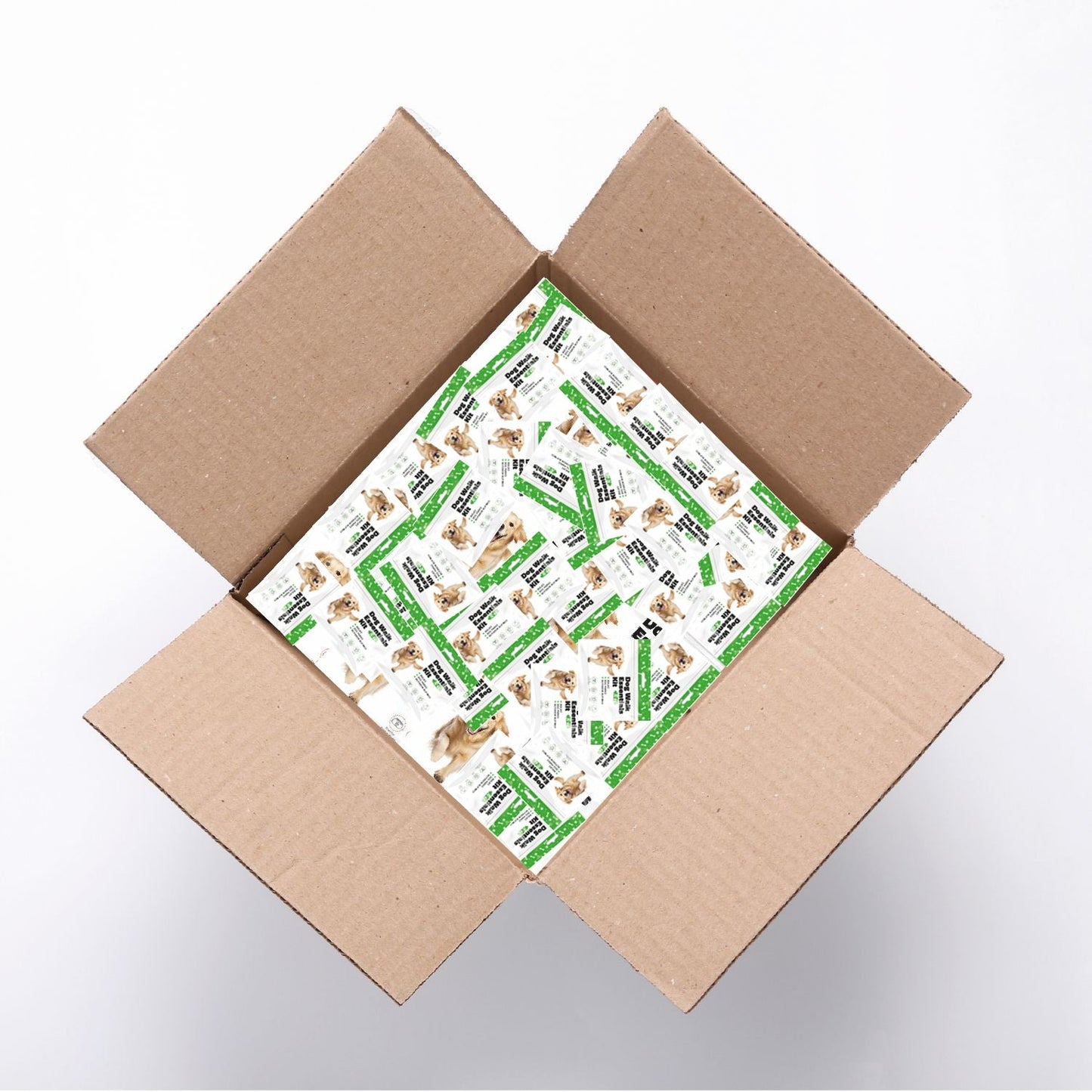 Green Dog Walking Essentials Kit