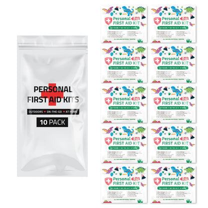 Dinosaur Mini First Aid Kit
