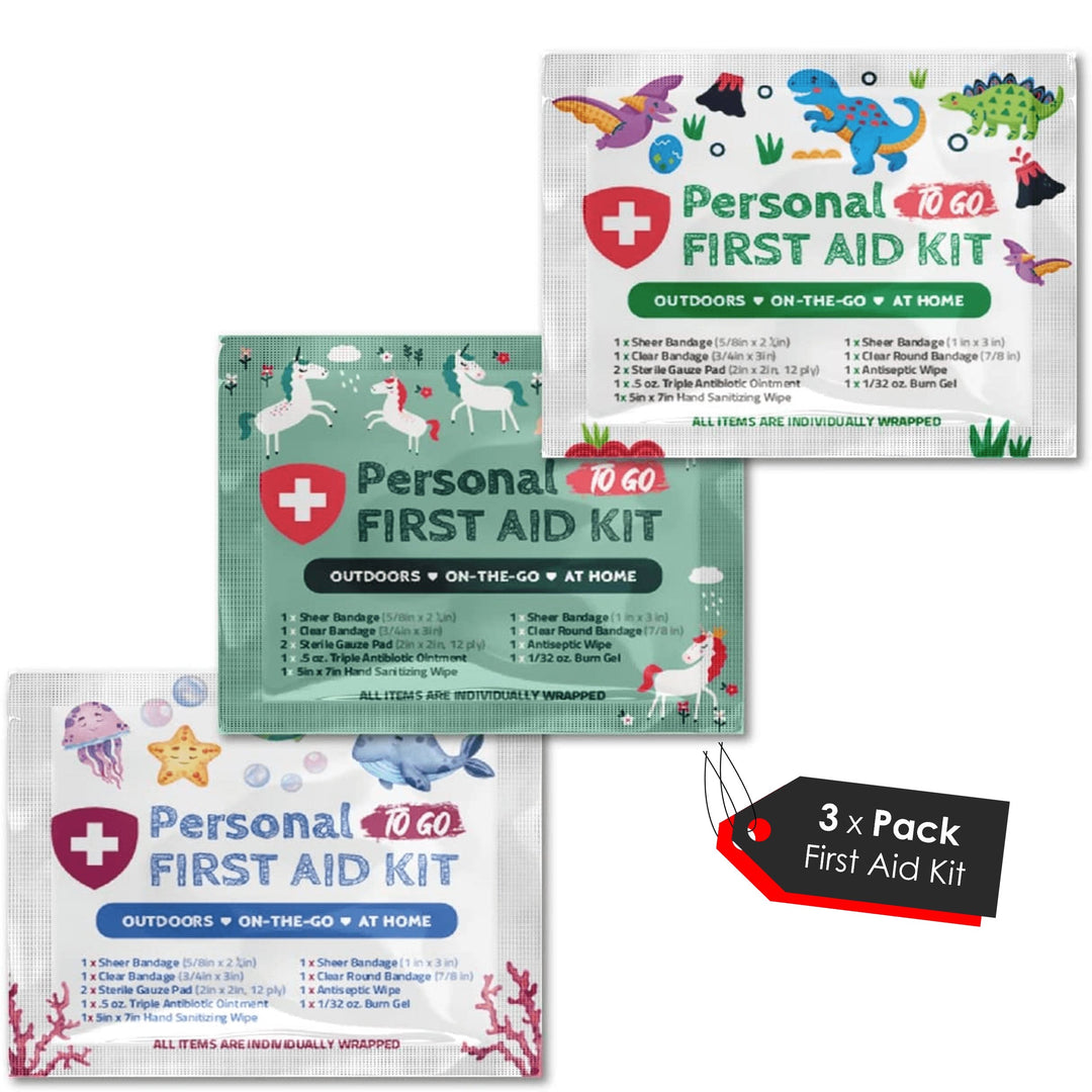 100 Pack Feminine Hygiene Kit  School Edition – Kit U Safe
